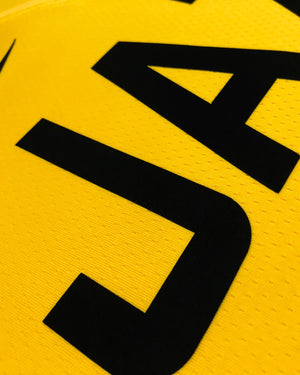 MITCHELL DONOVAN (UTA)