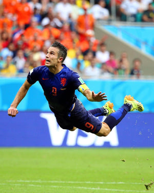 VAN PERSIE ROBIN 2014-15 (Hol)